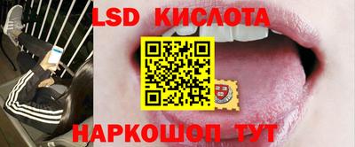 шишки Краснодар