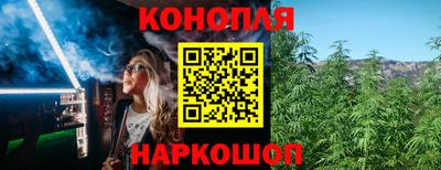 шишки Краснодар
